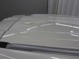 ひょうによる被害部分です。