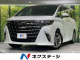 ガラスルーフ 両側電動スライドドア 純正14型ナビ 後席モニター