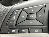 ステアリングスイッチでオーディオ操作ができるほか、メーターディスプレイ表示の切り替えも可能です。
