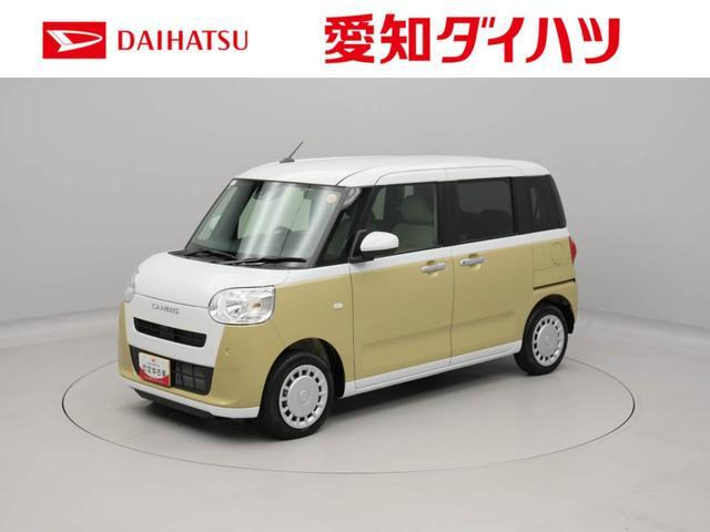 ムーヴキャンバス  ストライプス X