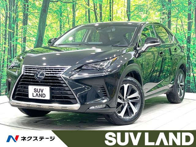 NX 300h 