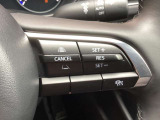ステアリングスイッチで、先行車に自動追従するアダプティブクルーズコントロールが作動可能。設定した車速内での車間距離を自動で調整・維持。高速道路の渋滞時もアクセル・ブレーキ操作から解放されます。