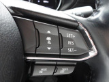 レーダークルーズコントロールはフォワードセンシングカメラとレーダーセンサーを使い前方車を検知し、設定した速度での定速走行や設定した車間距離を保つ追従走行を行います。長距離ドライブも楽チン!