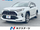 沖縄県内での販売・登録が条件※宮古島除く
