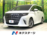 メーカー14型ナビ 両側電動ドア 全周囲カメラ 衝突被害軽減システム