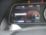 リーフ G 