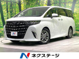 左右独立ムーンルーフ 両側電動ドア 後席モニター 全周囲カメラ