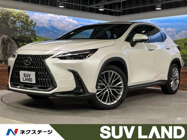 NX 250 バージョンL