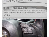 クルーズコントロールの操作スイッチや装備状態を確認できます。