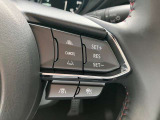 0km/hから100km/h追従機能付きのレーダークルーズコントロール!停車状態からの追従開始と、追従中に先行車に続いて停止することができるようになりました!(再発進はドライバーのアクセルONによります)