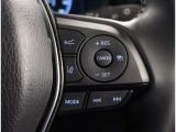 ステアリングスイッチではクルーズコントロール操作が可能です。運転中のご利用は十分にご注意ください。