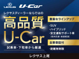 UX 250h Fスポーツ エモーショナル エクスプローラー 