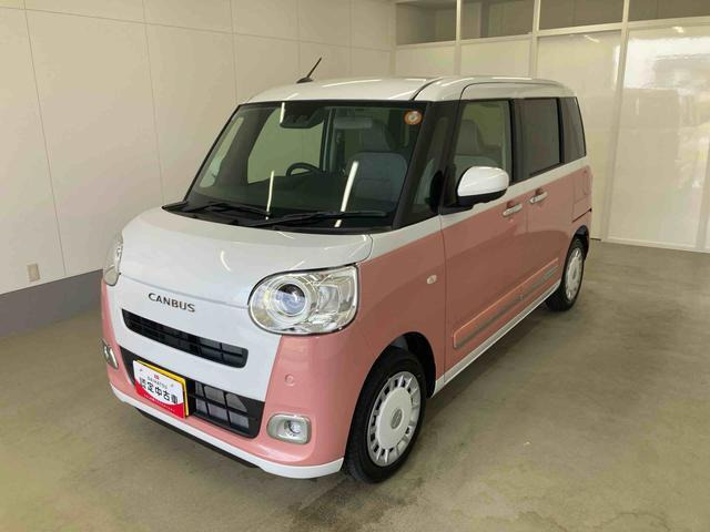 ムーヴキャンバス  ストライプス G