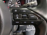 ステアリング右側には、運転支援機能を手元で操作できるスイッチ類を配置しています