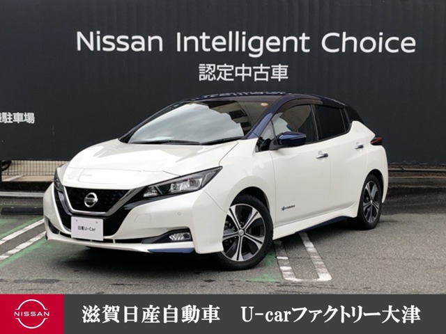 リーフ X 10万台記念車