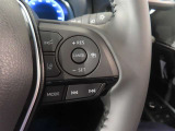 レーントレーシングアシスト(LTA)&レーダークルーズコントロール(全車速追従機能付)