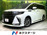4WD ガラスルーフ フルエアロ 両側電動ドア 後席モニター