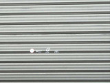 中古車だけではなく、新車も多岐にわたり、正規輸入車販売を行っております。全国選りすぐりの仕入ネットワークの中からあなたにピッタリのお車を探します!