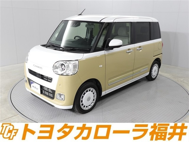 ムーヴキャンバス  ストライプス G