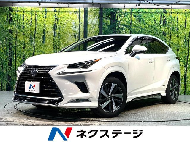 NX 300h バージョンL