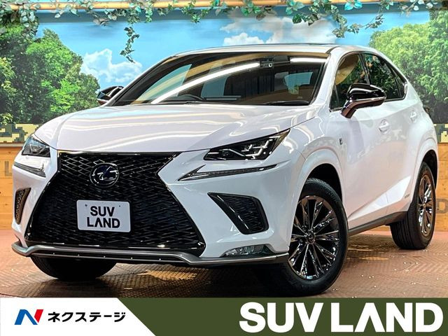 NX 300h クール&ブライト