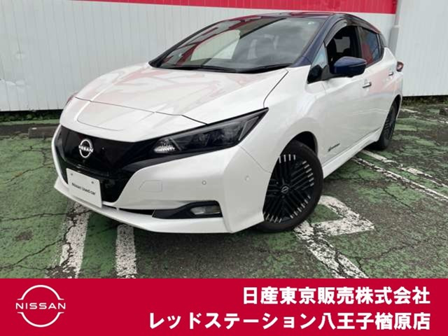 リーフ G