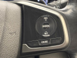 【クルーズコントロール】高速道路もラクラク走行。アクセルを離しても一定速度で走行ができ、長距離運転時の負担を軽減!加速・減速も簡単なスイッチ操作で調整できます。