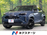 純正10型ディスプレイオーディオ 全周囲カメラ