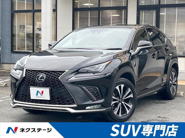 NX 300h Fスポーツ