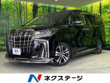 モデリスタフルエアロ 両側電動スライド BIG-X11型ナビ 禁煙車