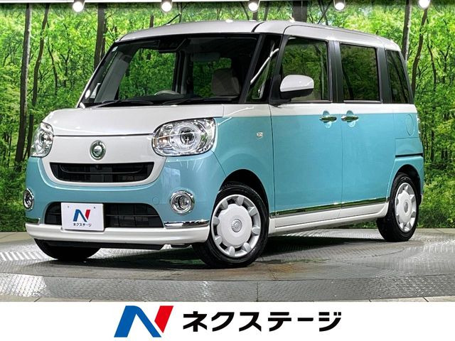 ムーヴキャンバス G メイクアップ リミテッド SAIII 