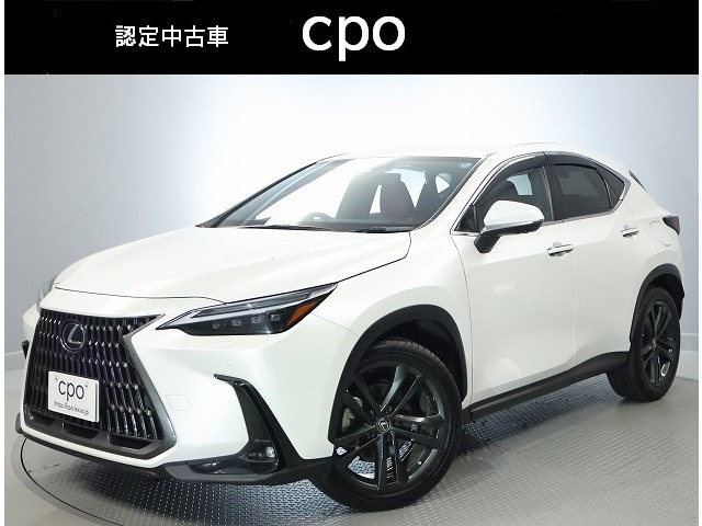 NX 250 バージョンL 4WD