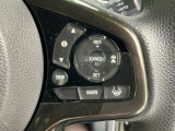 アクセルから足を離しても設定したスピードを保ち走行し、高速道路での疲労軽減に役立つクルーズコントロール付きです!