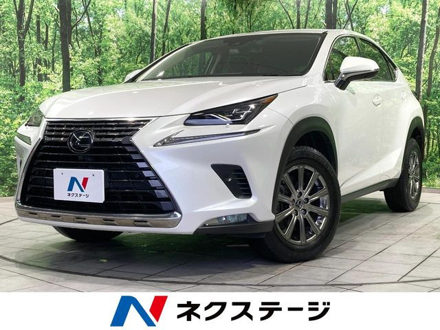 NX 200t Iパッケージ