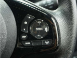 ◆アダプティブクルーズコントロール◆予め設定した車速内でクルマが自動的に加減速。前走車との適切な車間距離を維持しながら追従走行します。【LKAS】車線維持支援システムでステアリング操作を支援。