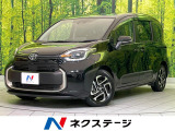 レーダークルーズ ブラインドスポットモニター 衝突軽減 AC100V電源