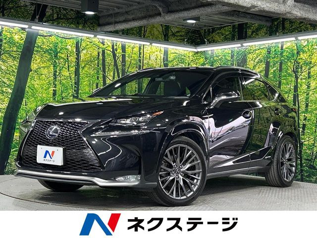 NX 300h Fスポーツ