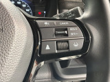 クルーズコントロールを装備しています。高速道路などで一定の速度で走ってくれるので運転が楽ですよ!速度を設定できますので、スピードの出しすぎにも注意できます。