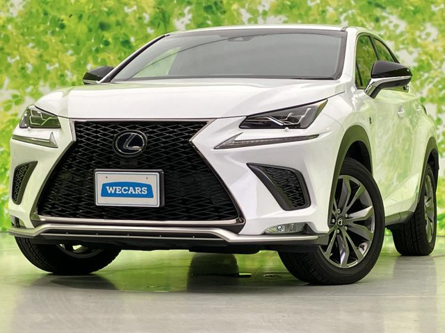 NX 300h Fスポーツ