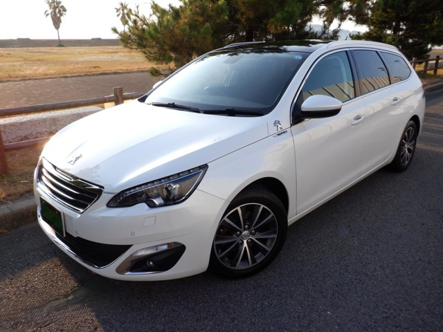 308SW アリュール
