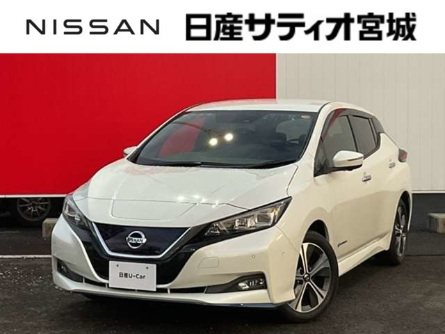 リーフ e+ G