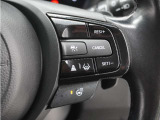 ◆アダプティブクルーズコントロール◆予め設定した車速内でクルマが自動的に加減速。前走車との適切な車間距離を維持しながら追従走行します。【LKAS】車線維持支援システムでステアリング操作を支援。