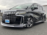 力強いフロントグリルとシャープなヘッドライトが印象的なスタイル。洗練された面構えは、街中でも一際目を引く存在感を放ちます。