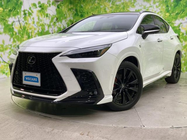 NX 350h Fスポーツ