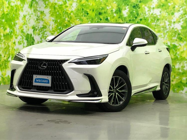 NX 250 バージョンL