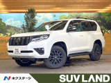 7人乗り サンルーフ BIG-X9型ナビ バックカメラ