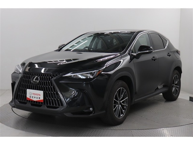 NX