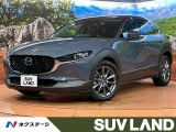 純正8型ナビ 全周囲カメラ 衝突被害軽減システム レーダークルーズ