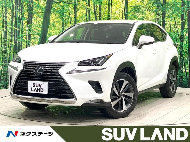 NX 200t Iパッケージ