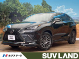 サンルーフ 全周囲カメラ ブラインドスポットモニター パワーバックドア